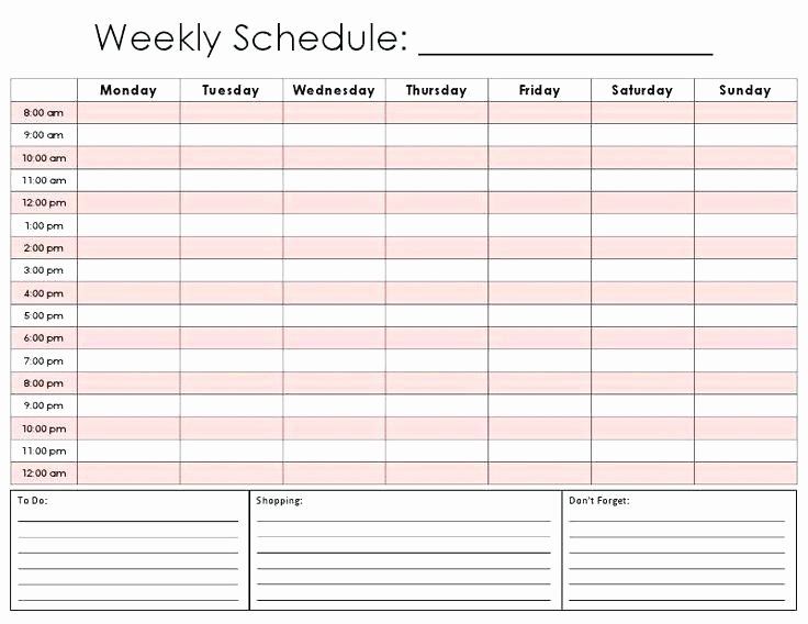 Printable Weekly Appointment Planner