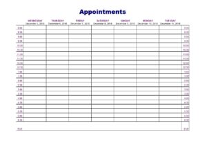 Weekly Appointment Planner PDF